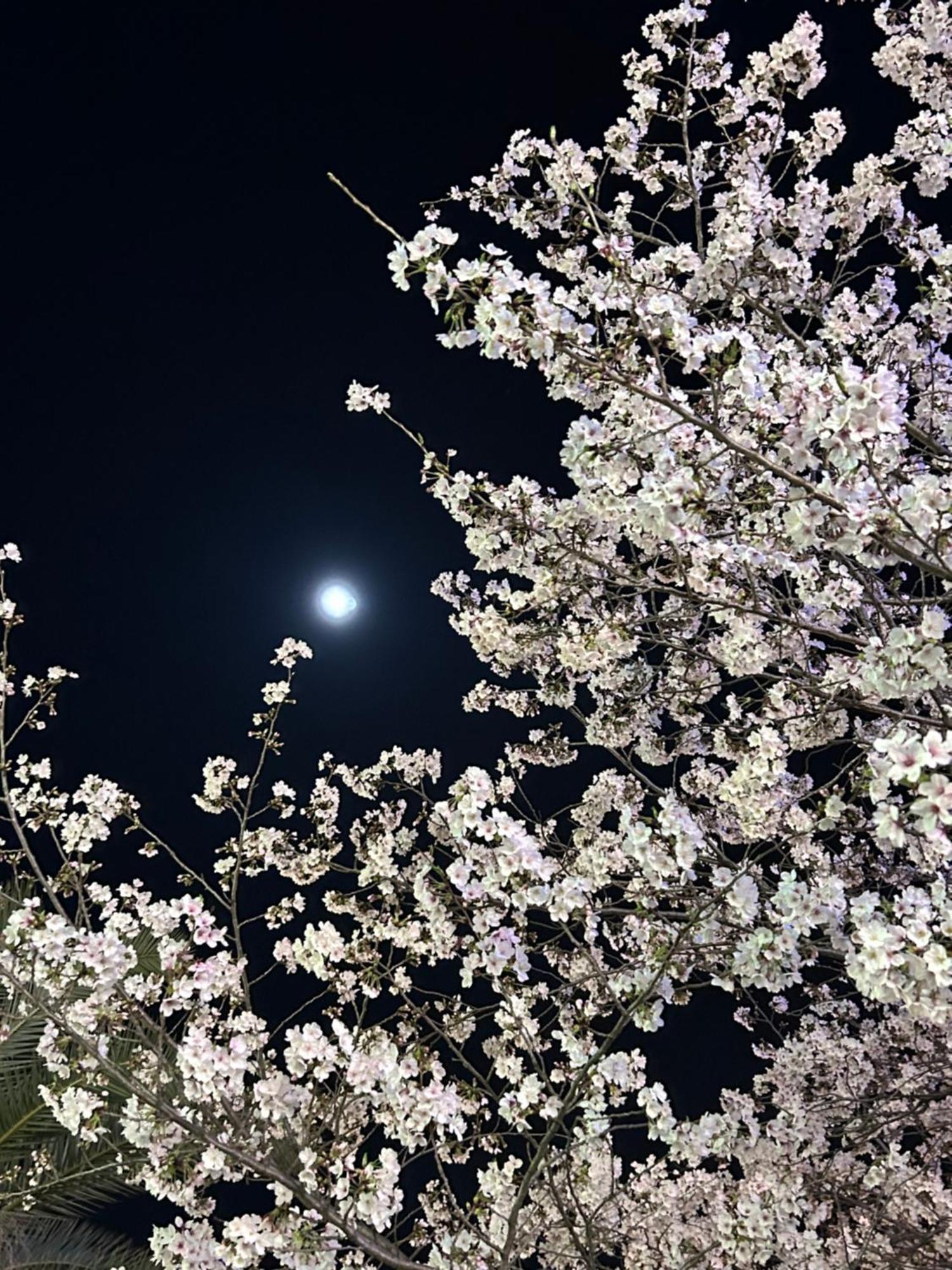 Ryoso Chatani Kyōto Exterior foto