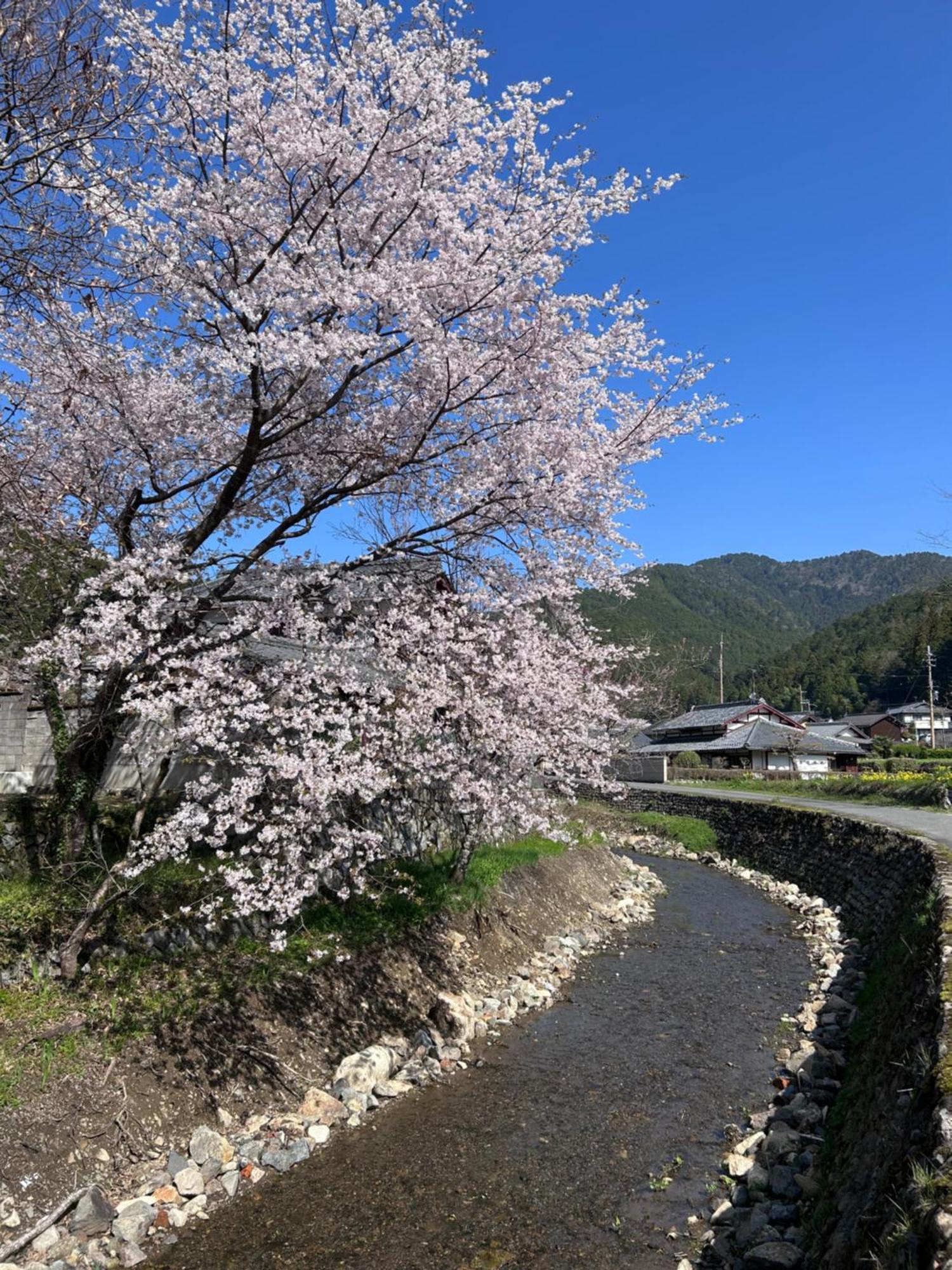 Ryoso Chatani Kyōto Exterior foto
